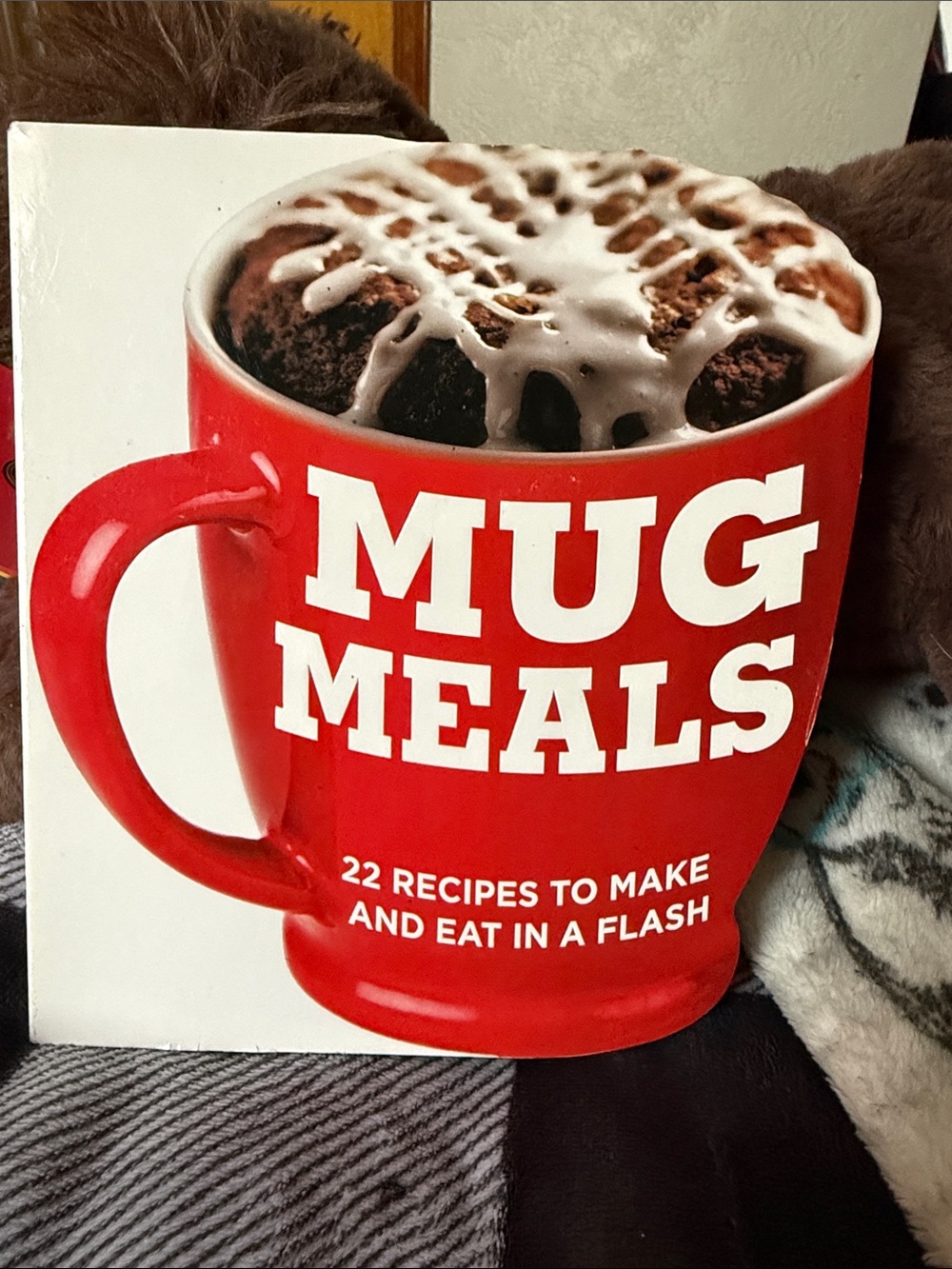 Mug Meals 22 recipes to make and eat in a flash